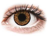 ColourVUE Elegance Brown - nedioptrické (2 šošovky) Farebné kontaktné šošovky - kozmetické očné šošovky - zmena farby očí - ColourVUE Elegance Brown - nedioptrické (2 šošovky)